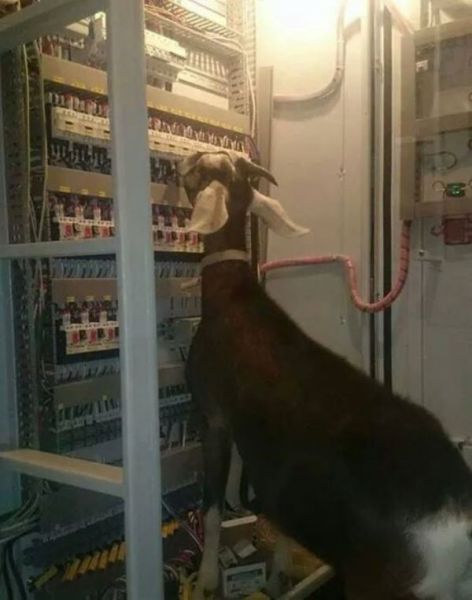 Work Fails & Job LOLs. Part 34 (40 pics)