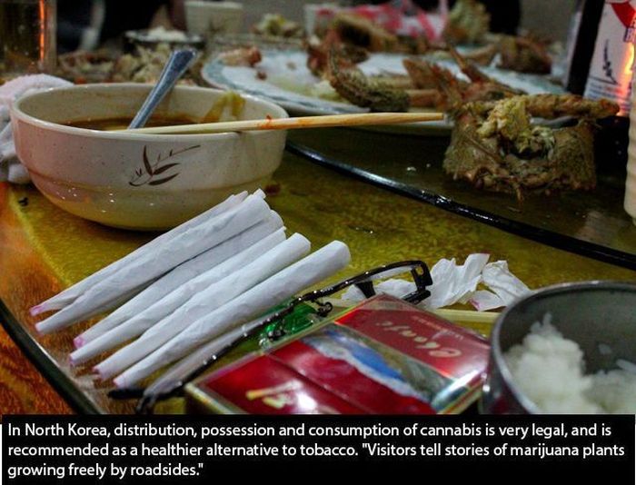 Things You Didn't Know About North Korea. (27 pics)