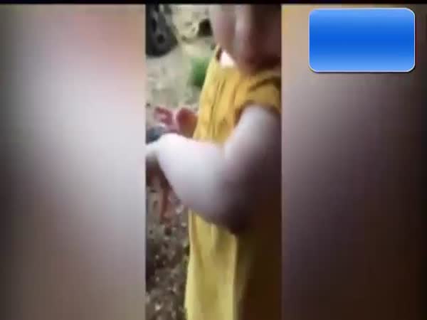 Two-Year-Old Plays With A Giant Spider