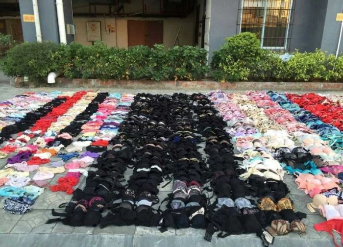 Lingerie Thief Gets Busted (6 pics)