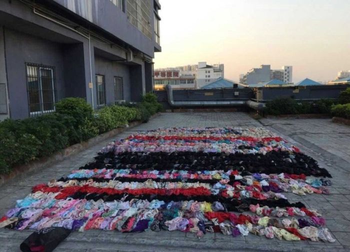 Lingerie Thief Gets Busted (6 pics)