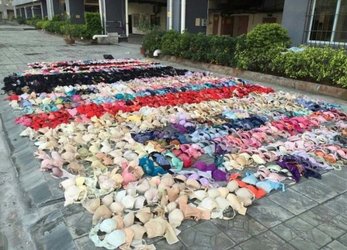 Lingerie Thief Gets Busted (6 pics)