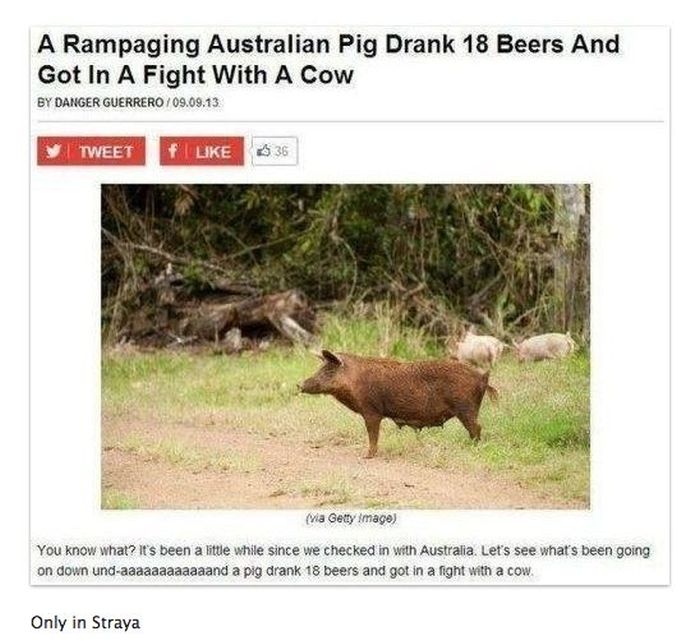 Life In Australia According To Tumblr (46 pics)