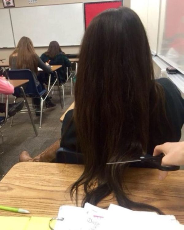 Why? (4 pics)