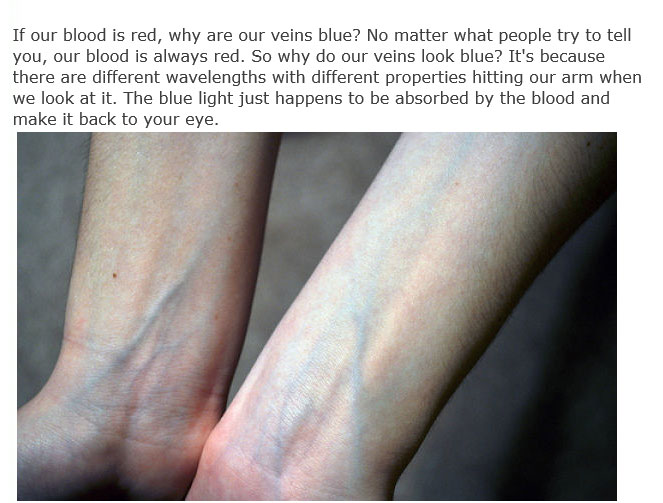 These Are The Answers To Life's Most Important Questions (11 pics)