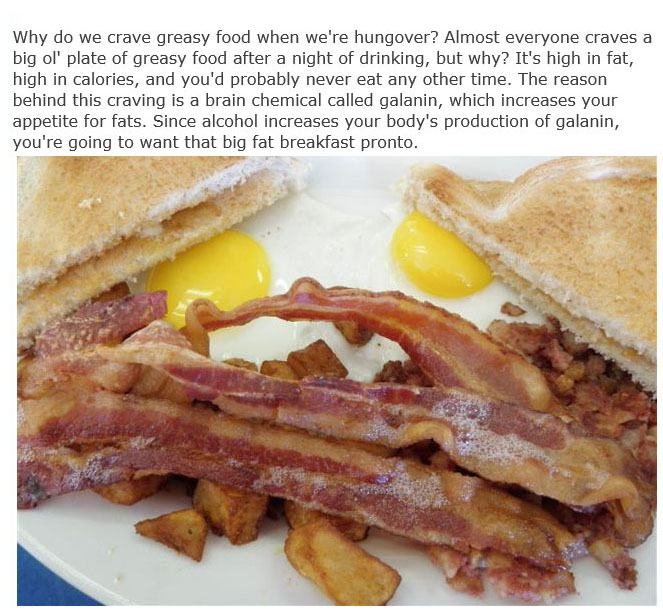These Are The Answers To Life's Most Important Questions (11 pics)