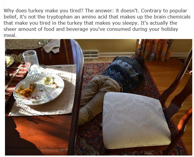 These Are The Answers To Life's Most Important Questions (11 pics)