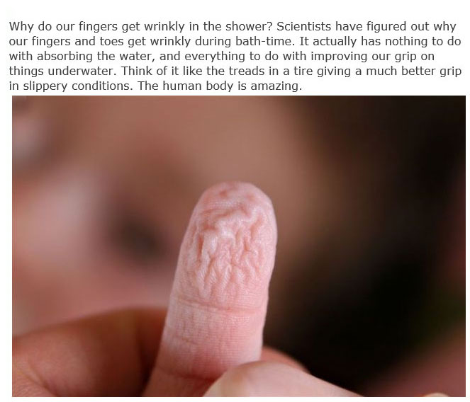 These Are The Answers To Life's Most Important Questions (11 pics)
