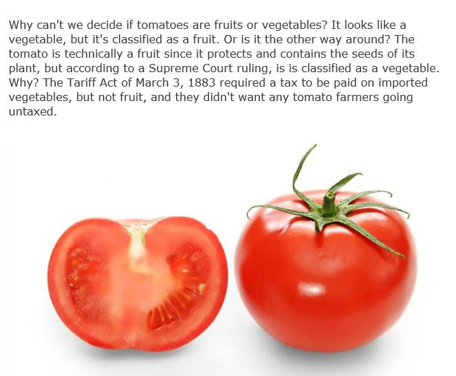 These Are The Answers To Life's Most Important Questions (11 pics)