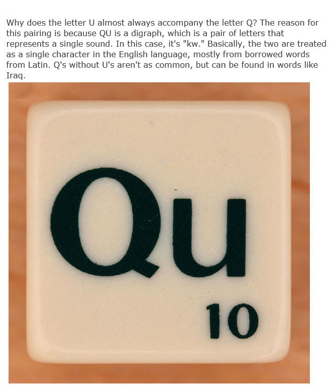 These Are The Answers To Life's Most Important Questions (11 pics)