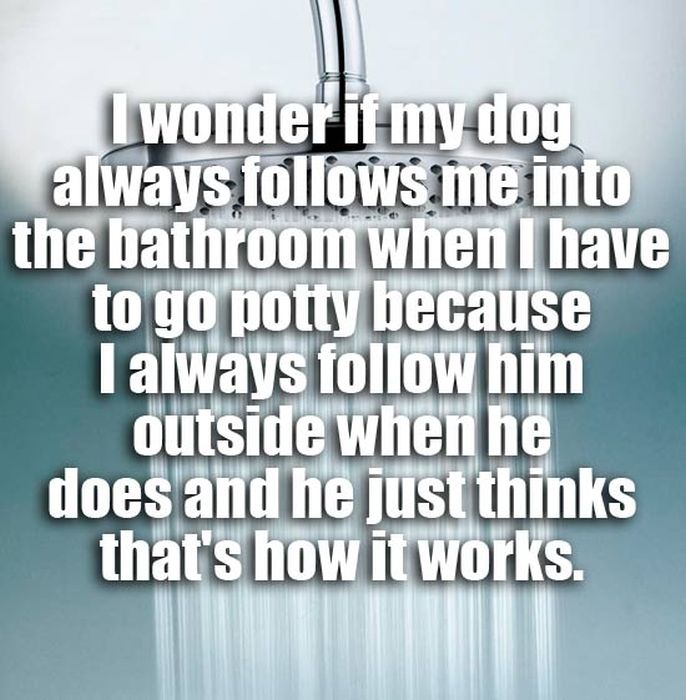 Amazing Thoughts That Could Only Happen In The Shower (20 pics)