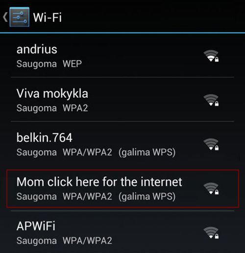 Funny WiFi Names (20 pics)