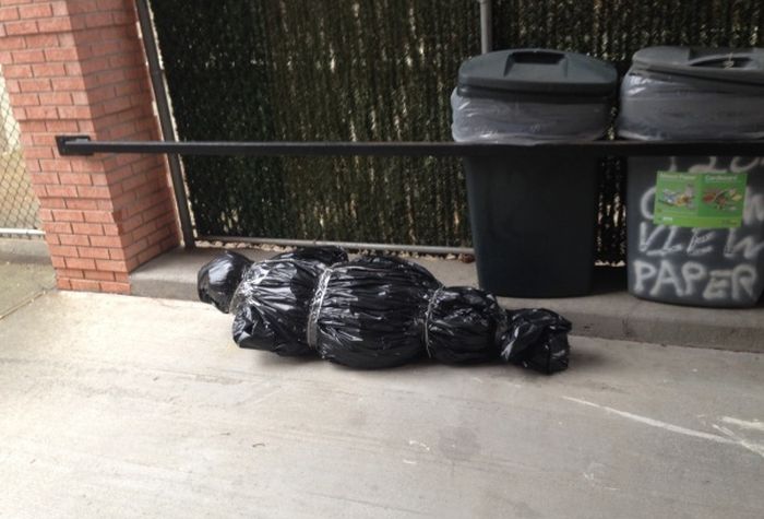 Best Christmas Tree Disposal Prank (3 pics)