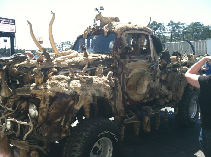 This Entire Truck Is Covered With Dead Animals (7 pics)
