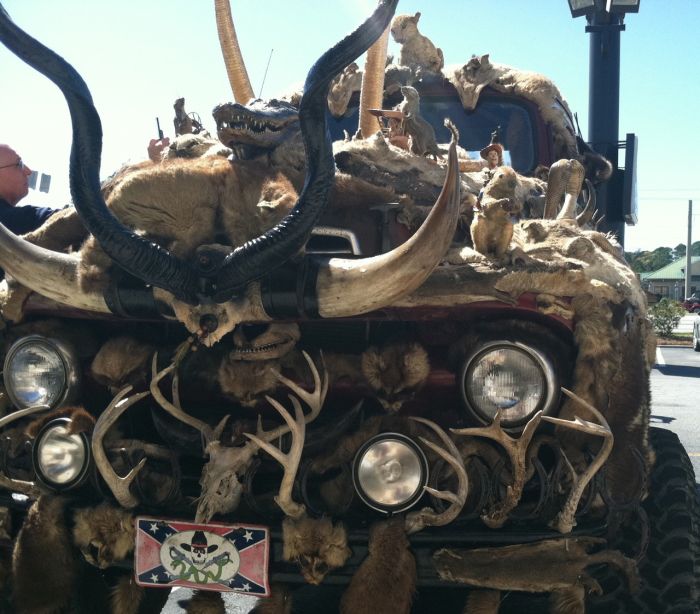 This Entire Truck Is Covered With Dead Animals (7 pics)