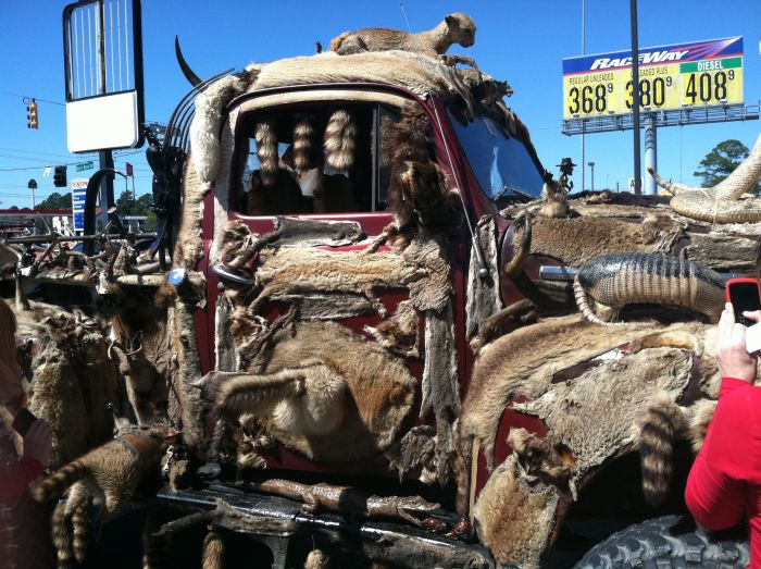 This Entire Truck Is Covered With Dead Animals (7 pics)