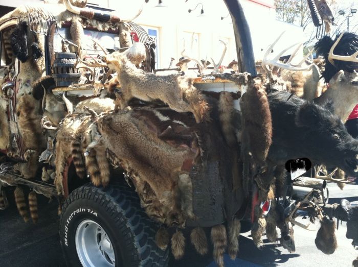 This Entire Truck Is Covered With Dead Animals (7 pics)