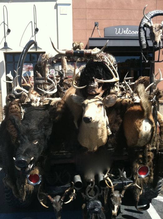 This Entire Truck Is Covered With Dead Animals (7 pics)