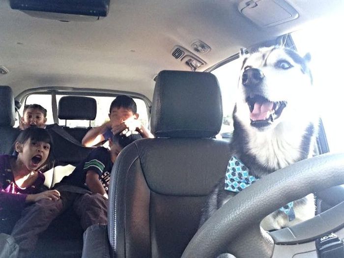 Acid Picdump (97 pics) Acid Picdump (97 pics)