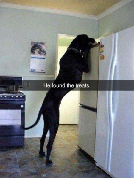 Acid Picdump (97 pics)