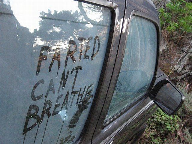 Acid Picdump (97 pics)