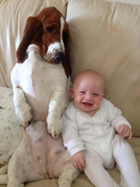 Acid Picdump (97 pics)