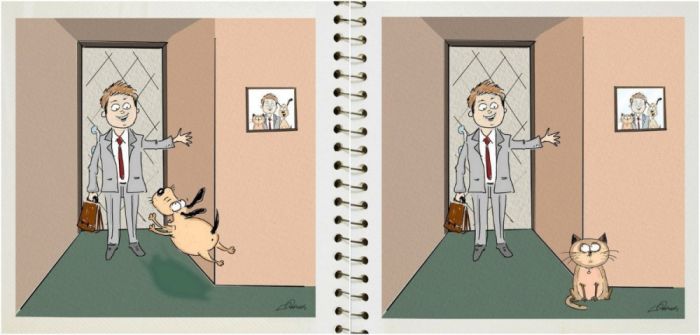 The Differences Between Living With Cats And Dogs (6 pics)