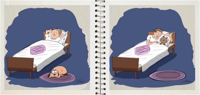 The Differences Between Living With Cats And Dogs (6 pics)