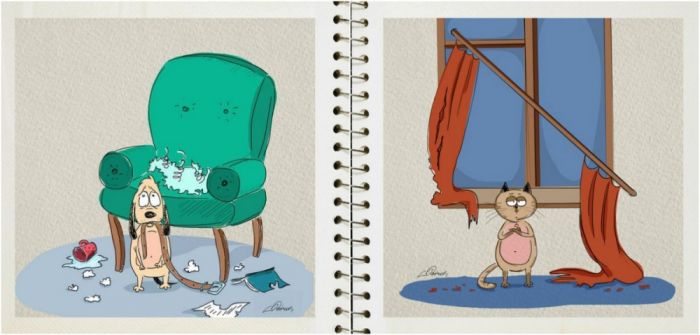 The Differences Between Living With Cats And Dogs (6 pics)