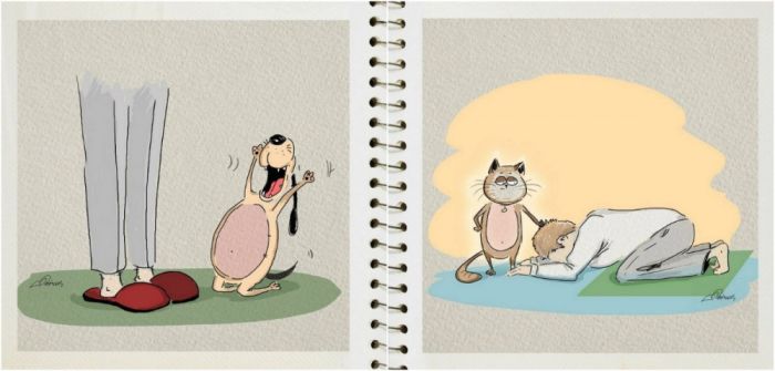 The Differences Between Living With Cats And Dogs (6 pics)