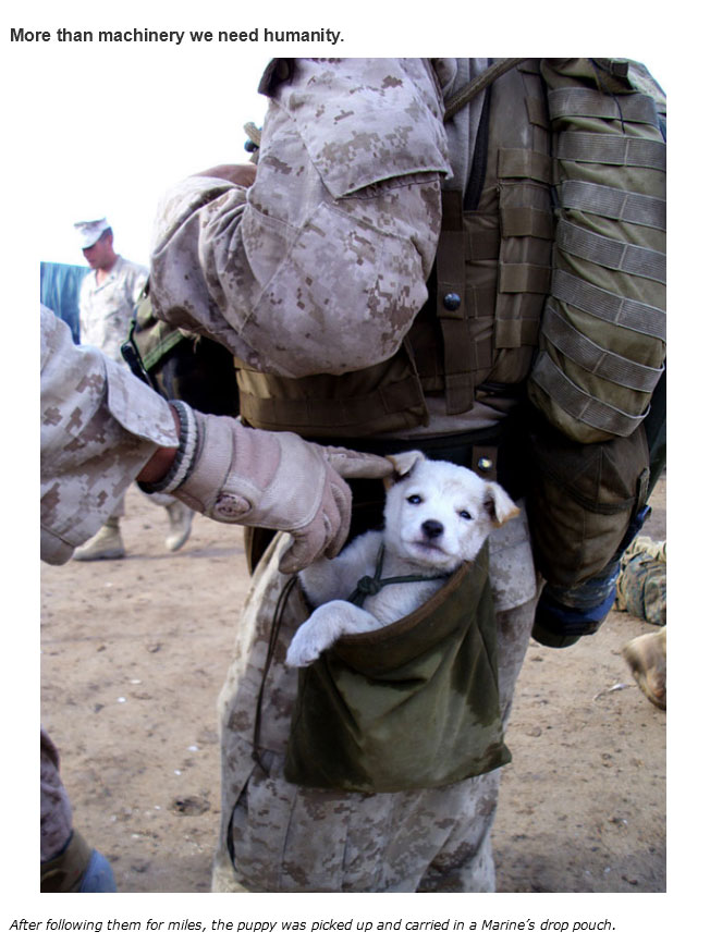 The Truth About Humanity In 2015 (30 pics)