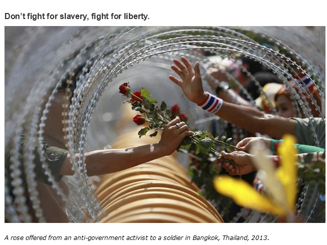 The Truth About Humanity In 2015 (30 pics)