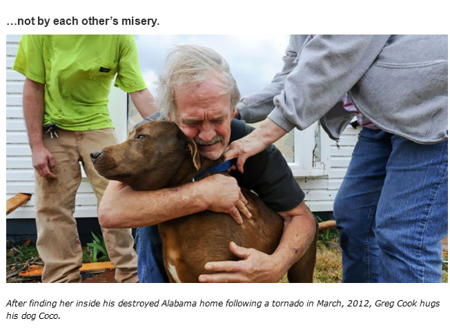 The Truth About Humanity In 2015 (30 pics)
