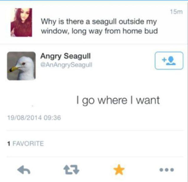 I Do What I Want. Part 48 (50 pics)