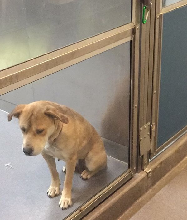 Spokey Loves His New Home (2 pics)