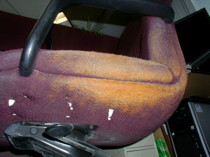 This Chair Was Covered In Cheetos For Many Years (3 pics)