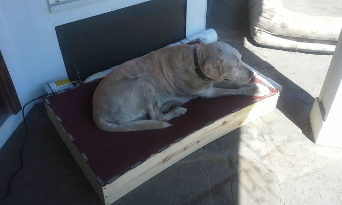How To Make An Air Conditioned Dog Bed (8 pics)
