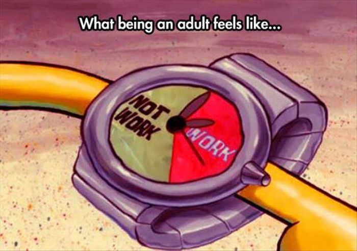 Proof That Growing Up Is Definitely A Trap (26 pics)