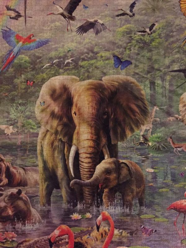 This Is The World's Largest Jigsaw Puzzle (6 pics)