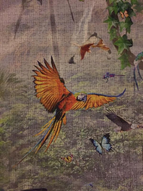 This Is The World's Largest Jigsaw Puzzle (6 pics)