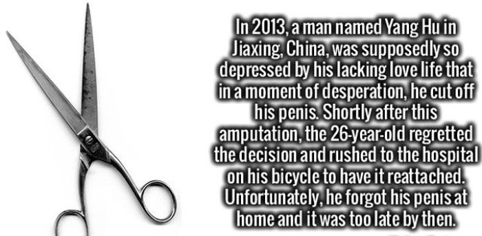 Random Facts That Will Give Your Brain A Workout (34 pics)