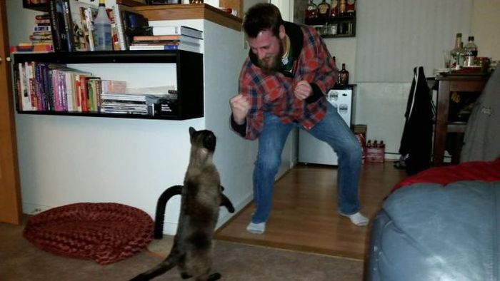 Acid Picdump (108 pics)