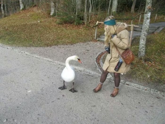 Acid Picdump (108 pics)