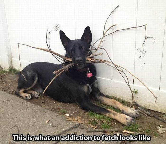 Acid Picdump (108 pics)