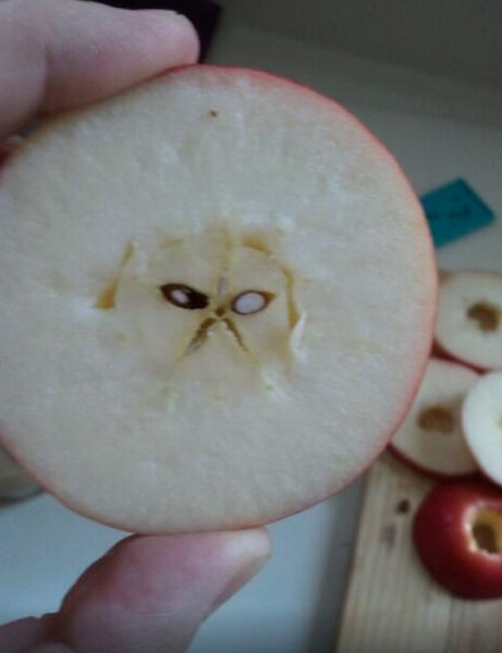 Acid Picdump (108 pics)