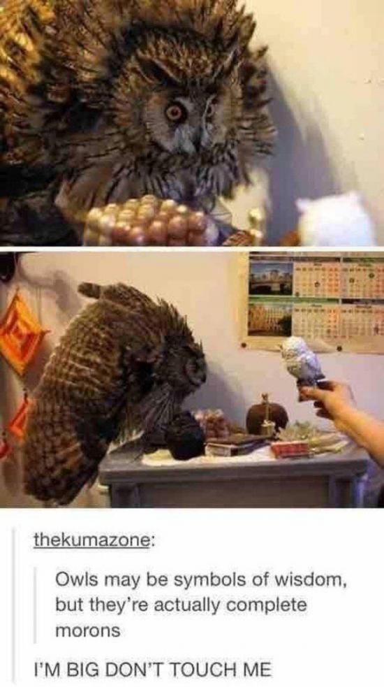 Acid Picdump (108 pics)