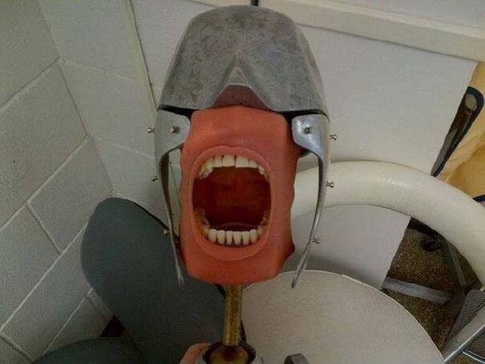 This Is What Dentists Use To Practice (14 pics)