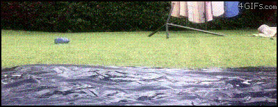 These GIFS Just Want You To Deal With It (32 gifs)
