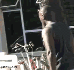 These GIFS Just Want You To Deal With It (32 gifs)