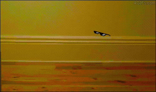 These GIFS Just Want You To Deal With It (32 gifs)